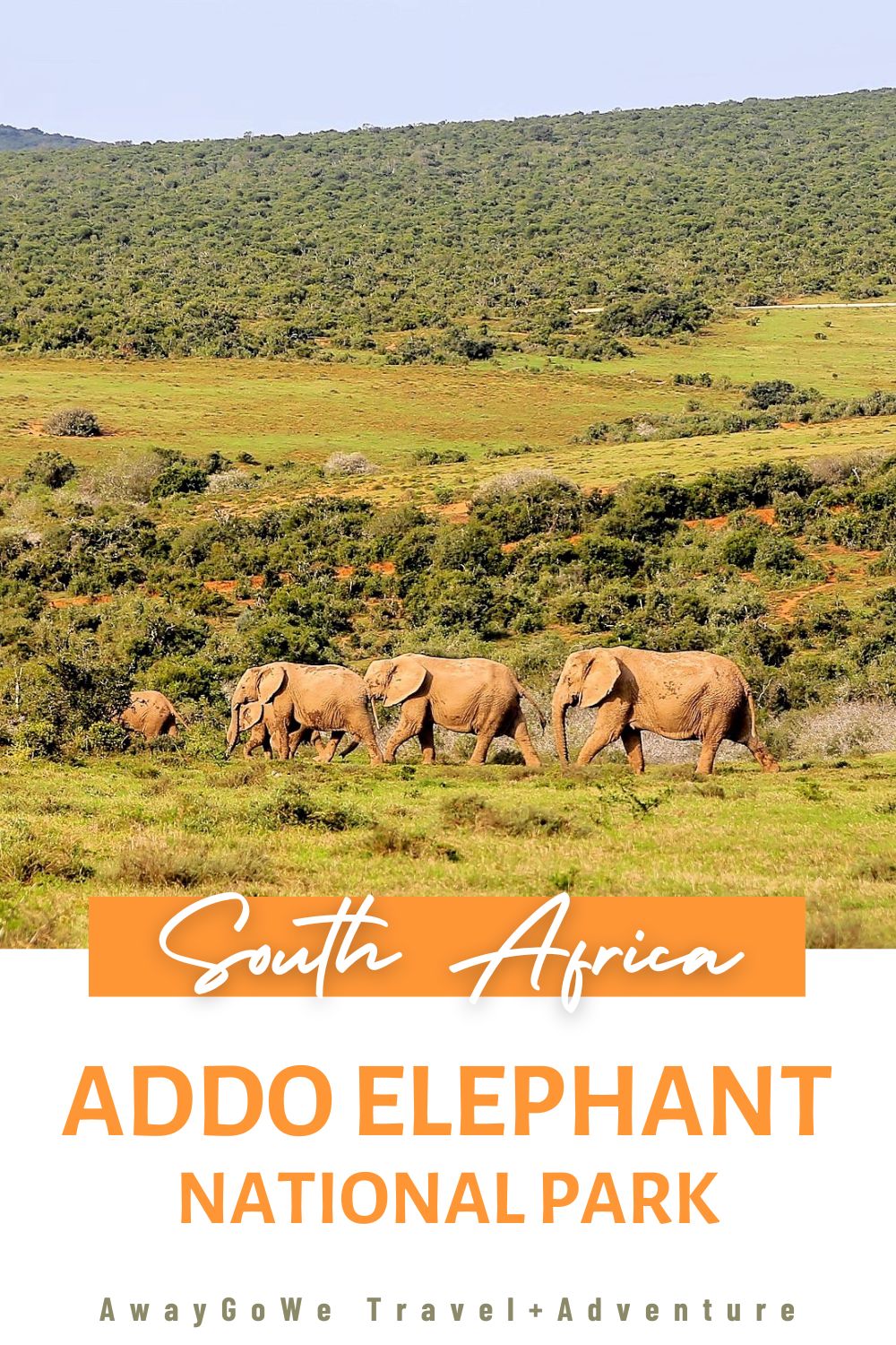 Addo Elephant National Park