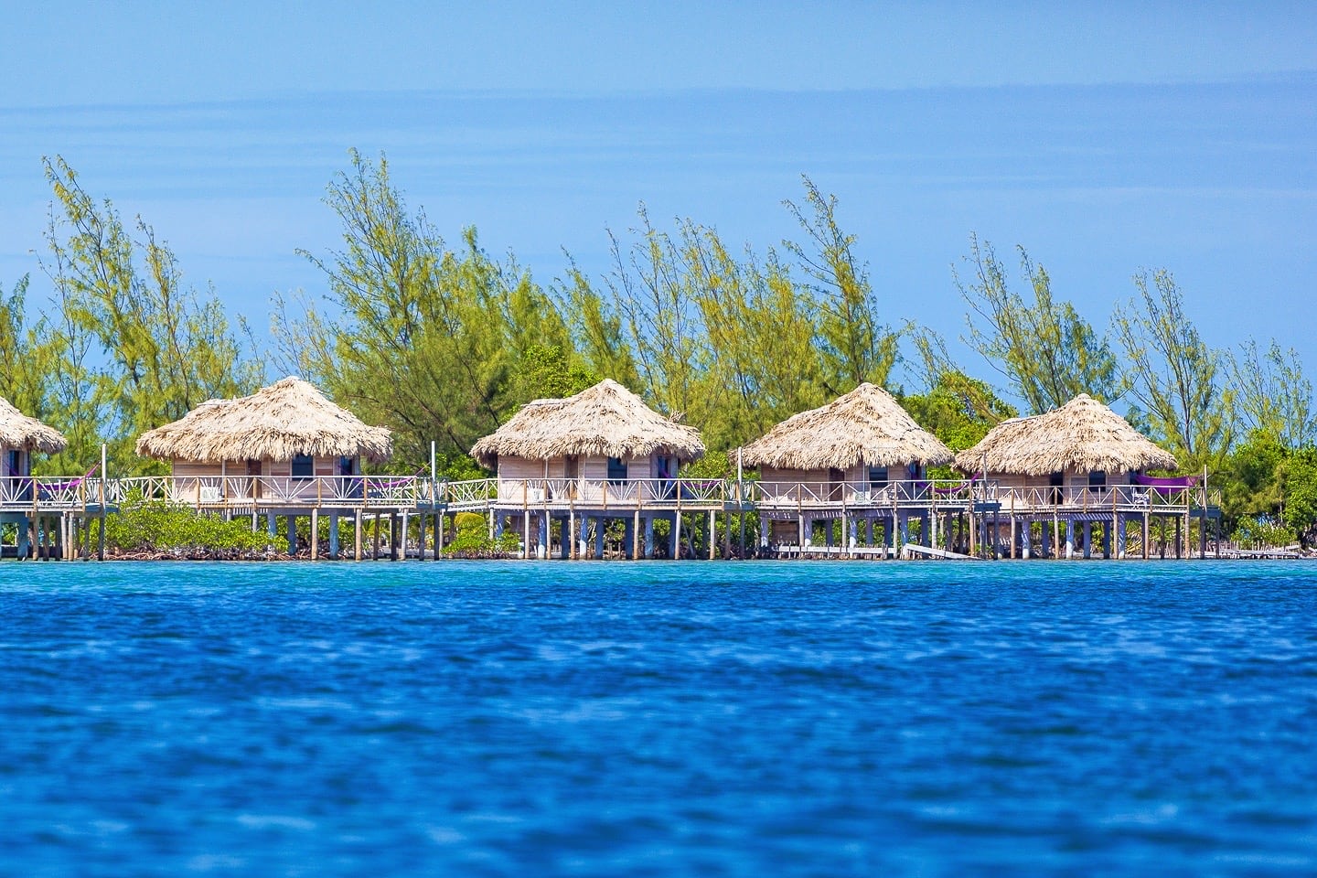 thatch roof bungalows in Thatch Caye Belize