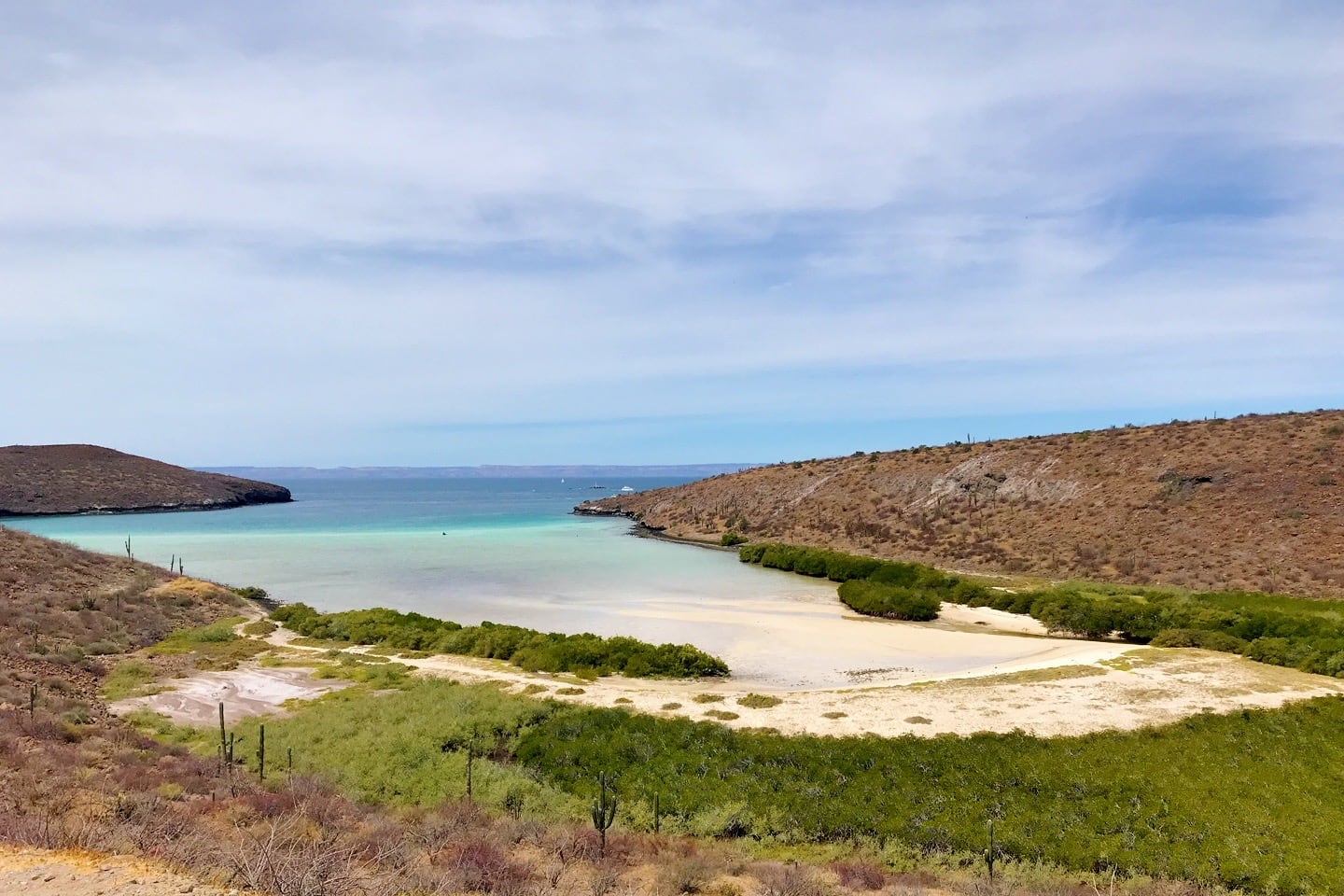 Playa El Merito beach and mangroves