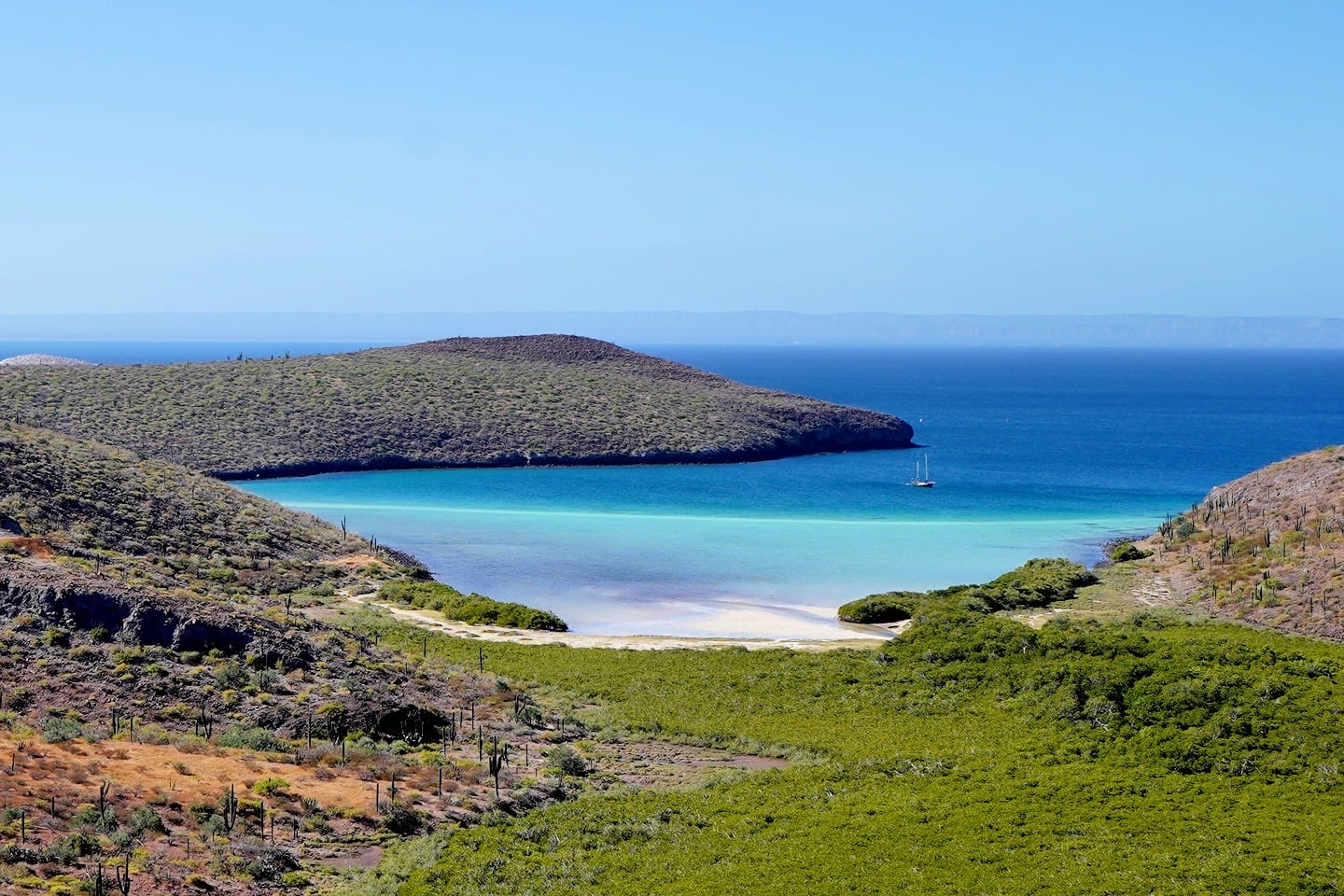 Playa El Merito beach and mangroves