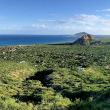 Cabo Pulmo BCS Mexico