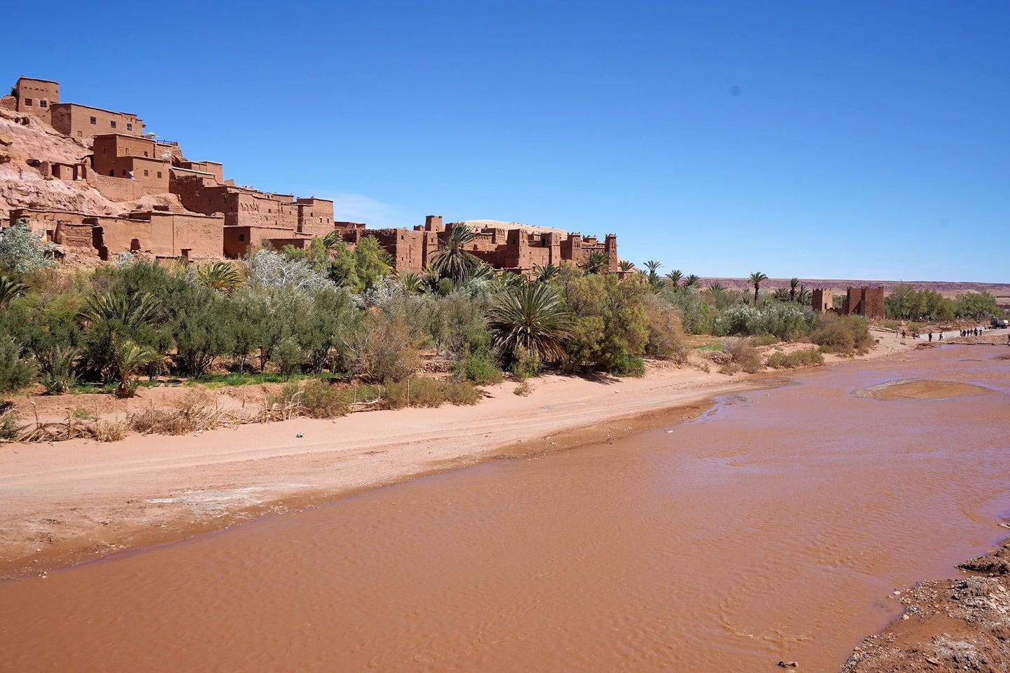 Asif Ounila river palm oasis and ksar