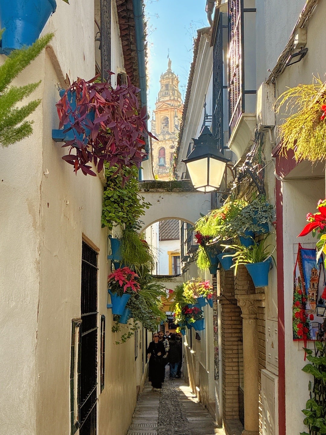 Cordoba patios