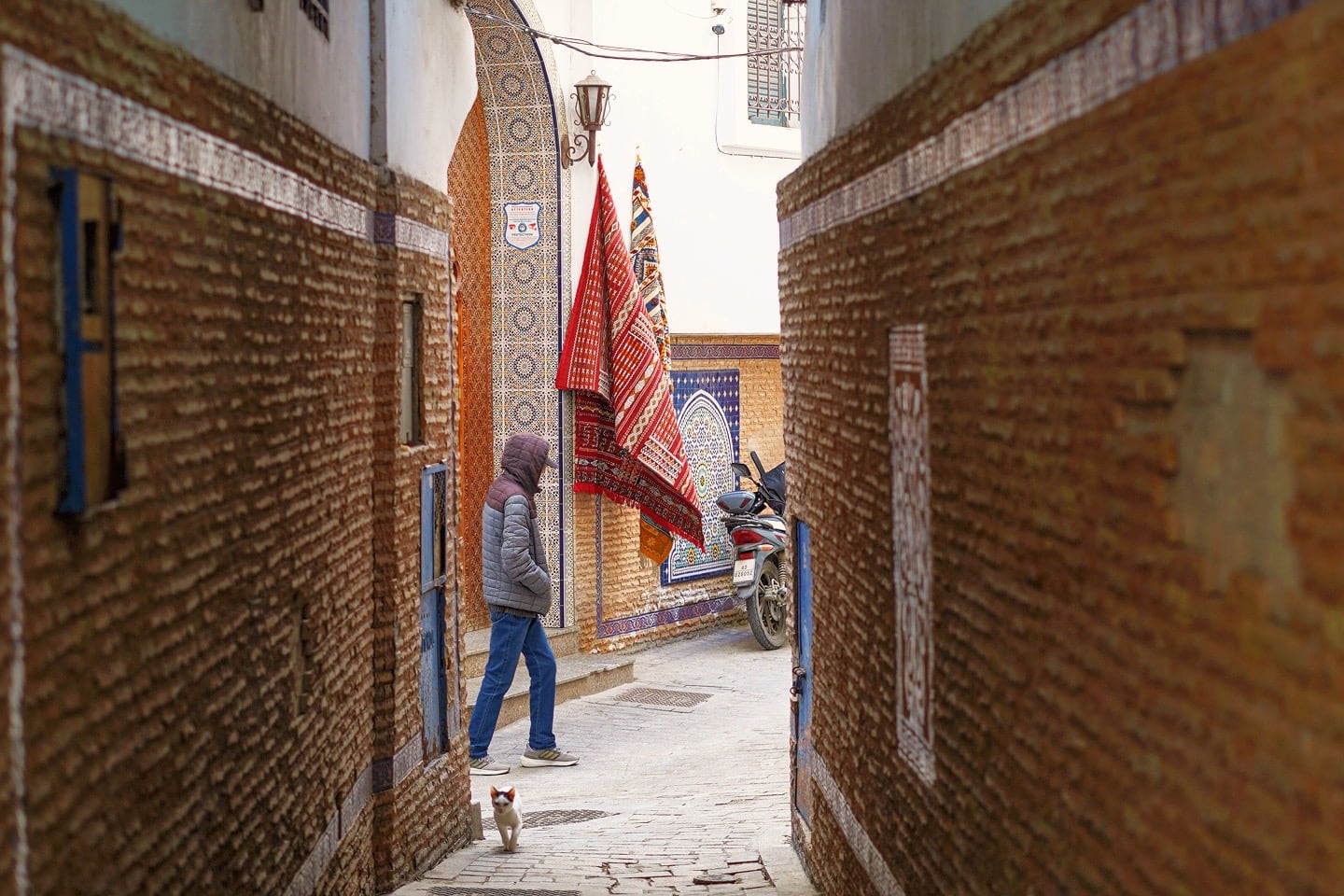 person walking in the Tangier medina