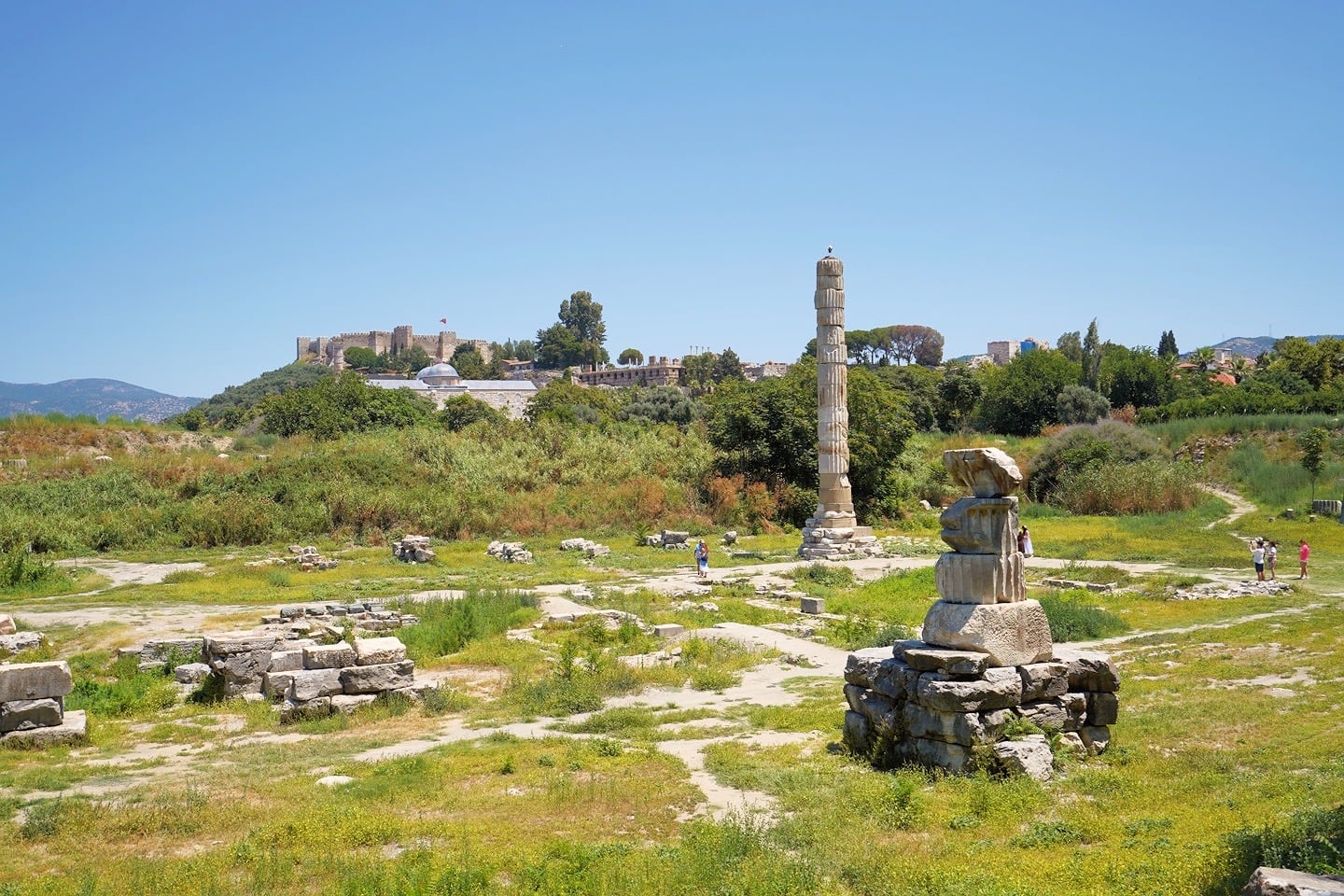 Temple of Artemis ruins in Selcuk Turkey