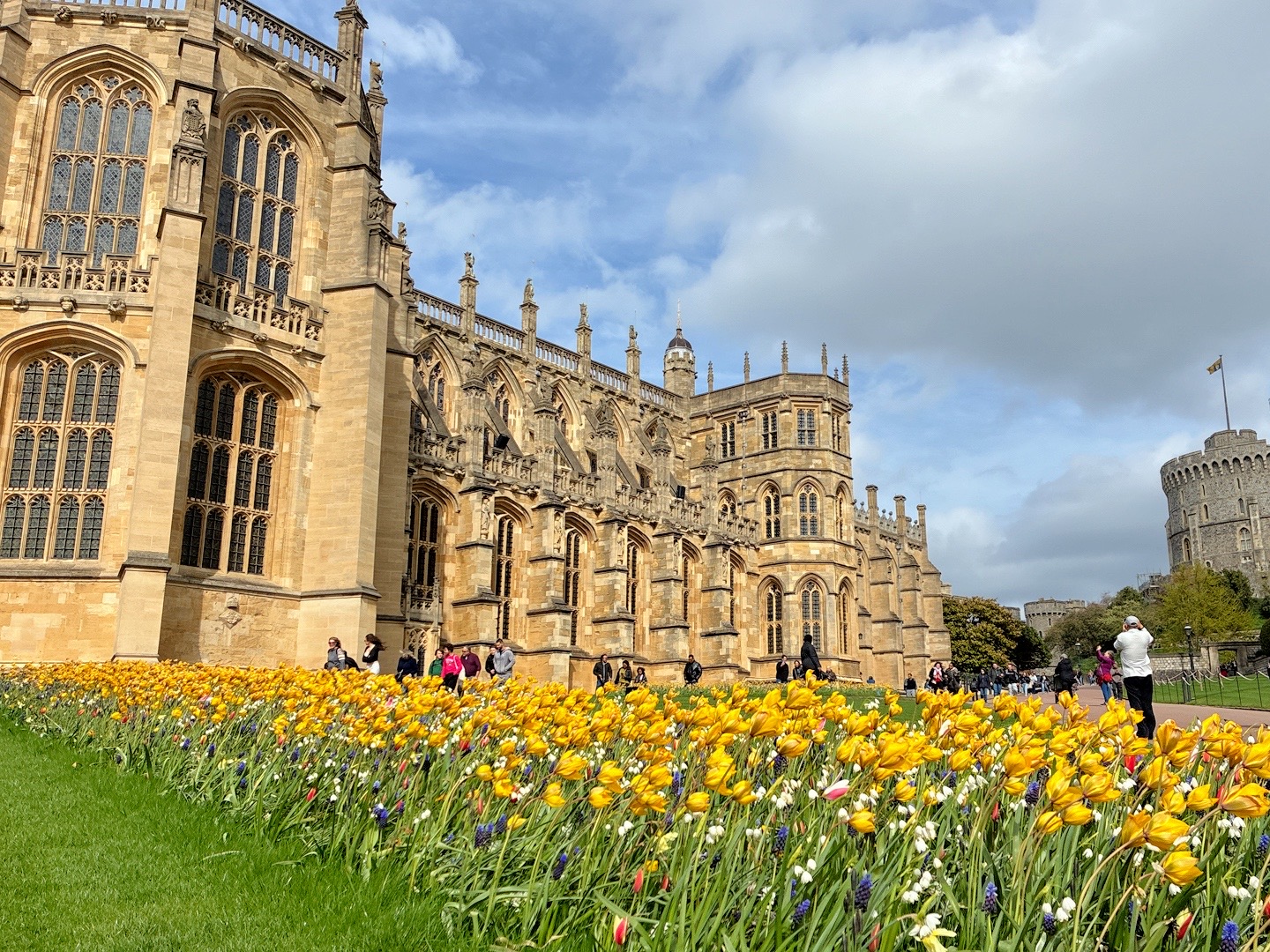 yellow flowers outside of St George Chapel Windsor Castle