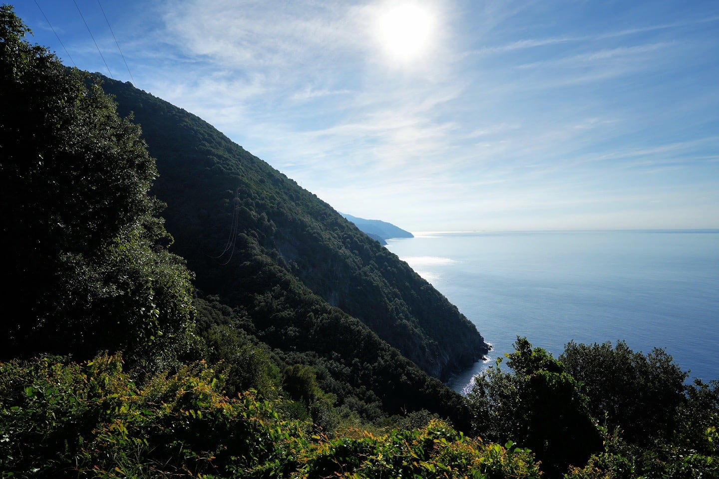 sea views from Blue Trail