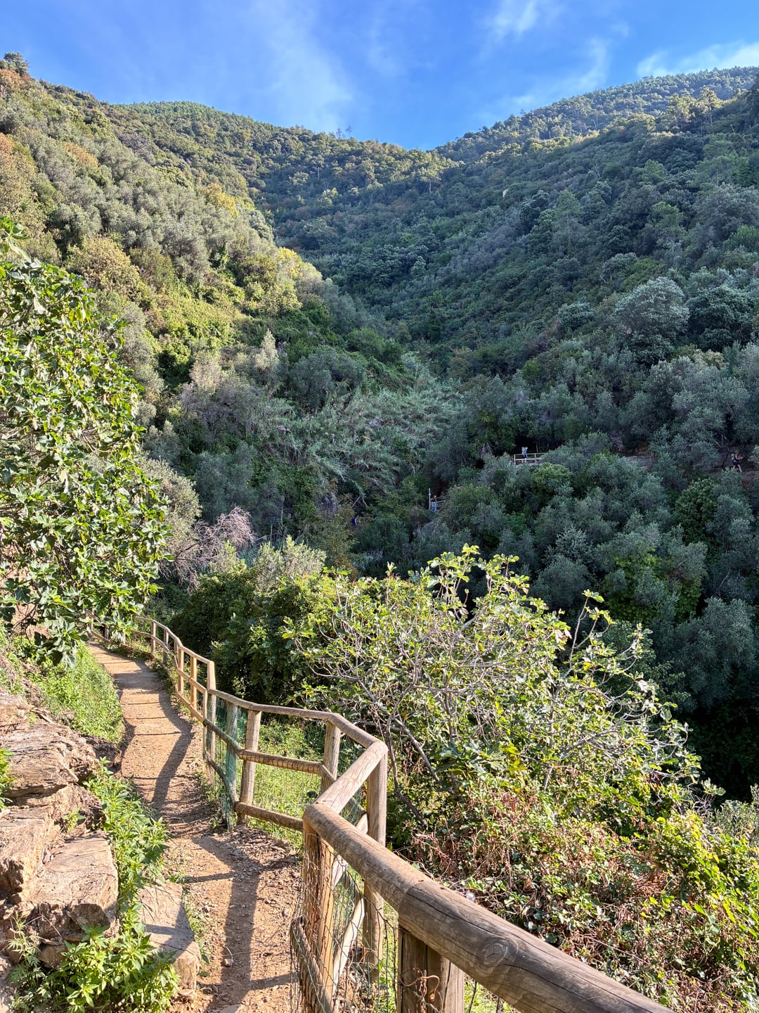 hiking Blue Trail Cinque Terre