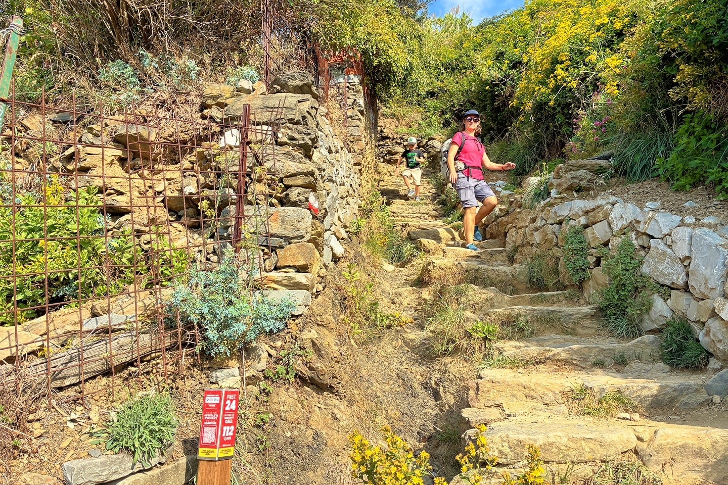 stair steps on Blue Trail
