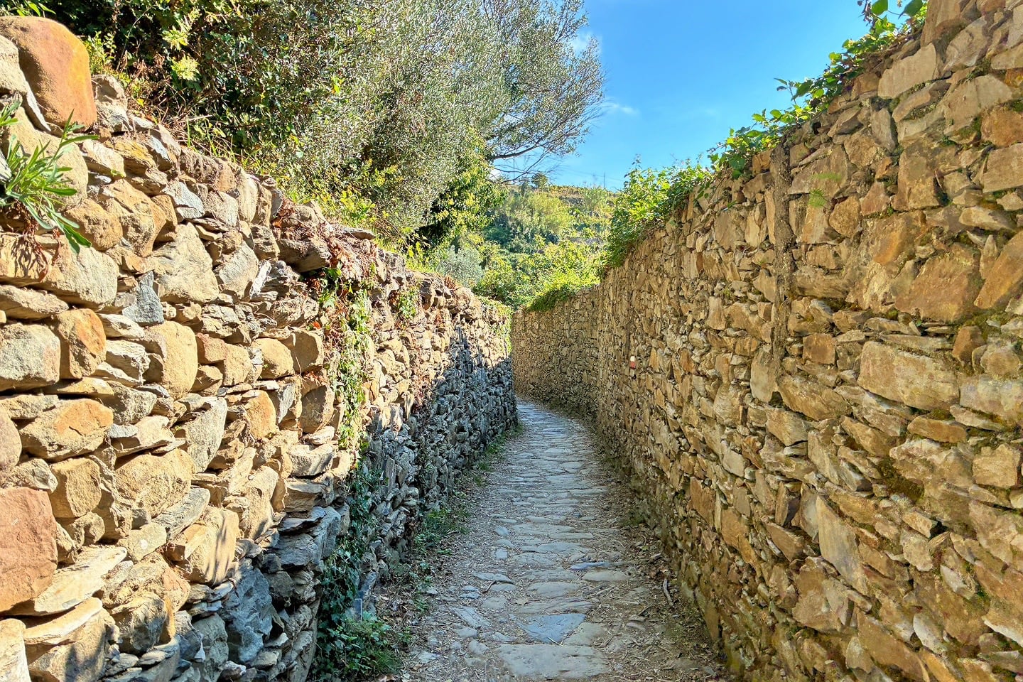 dry stone walls hiking Cinque Terre